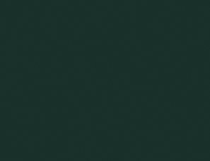 Bella Supermatt Fir Green