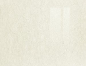 Zurfiz Ultragloss Glacier White